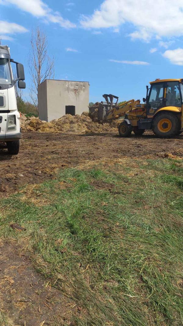 IMG_3231