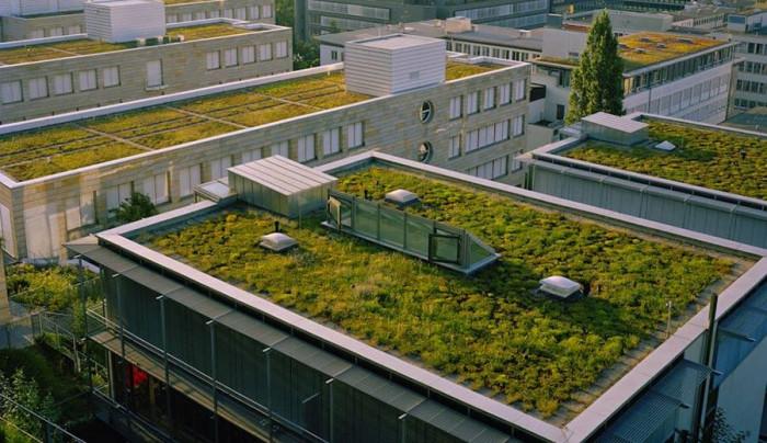 Озелененият плосък покрив изисква по-голям бюджет