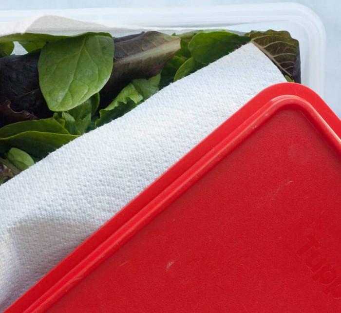 Запазете салатата свежа за по-дълго в кутия за съхранение