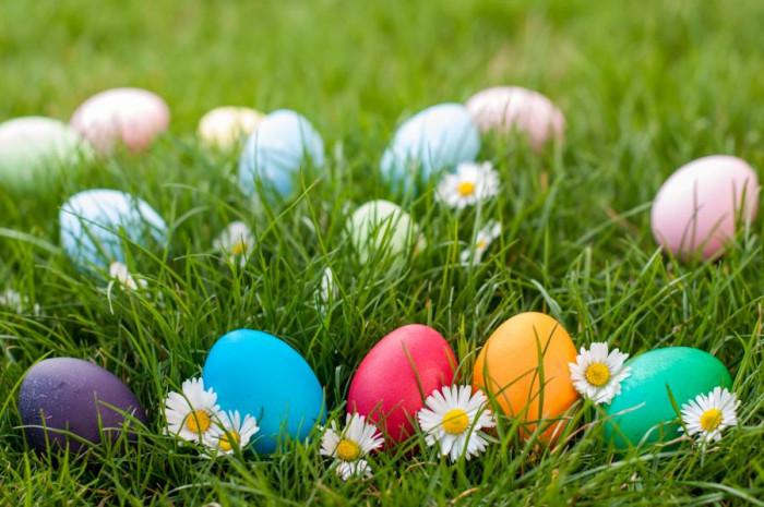 Запознайте великденските яйца с полските си цветя!