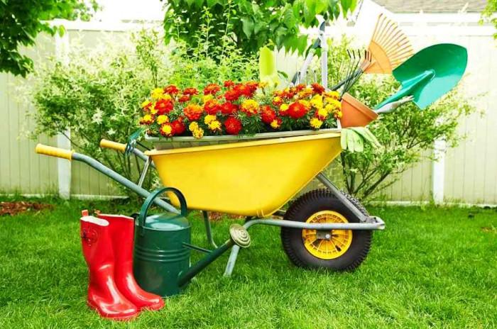 Пътеводител за начинаещи градинари: От запустелия двор до градината
