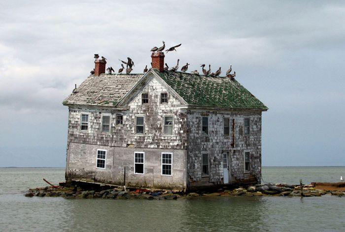 Последната къща на остров Холандия, САЩ