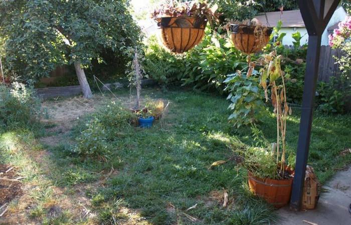Преди: Почистете градината си от плевели