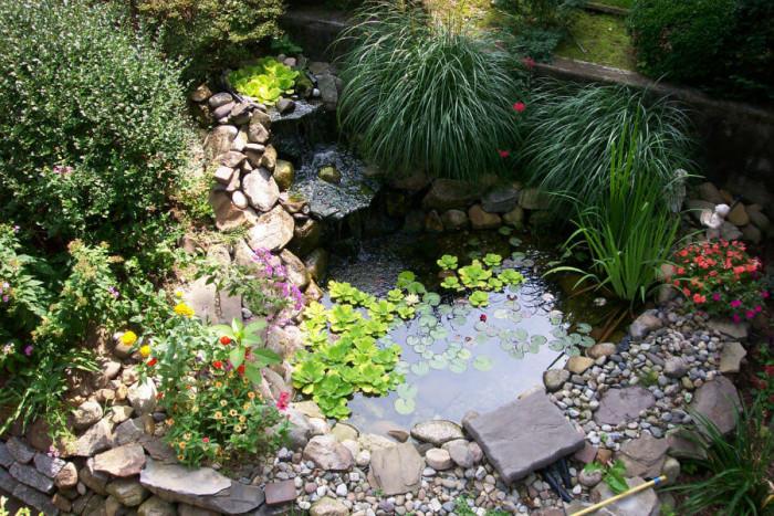 Използвайте силата на водата в малката градина