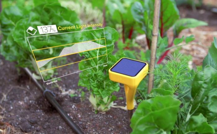 Грижовен сензор за градина с интернет връзка