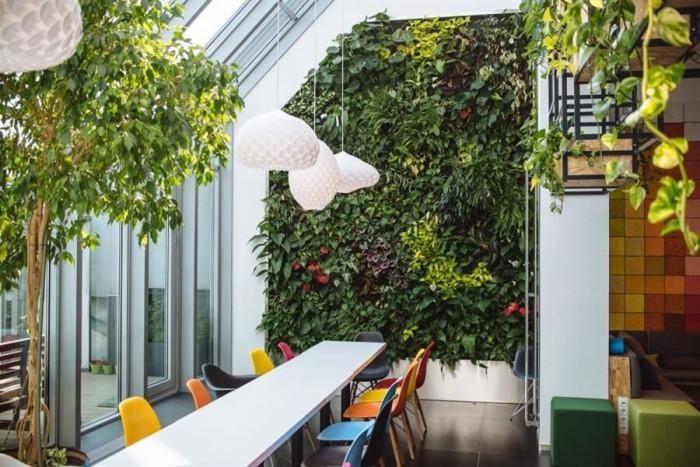 Офисът се превръща в естетическо пространство със стена от живи растения