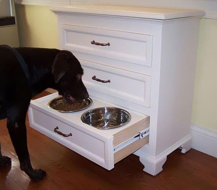 Приберете храната на кучето… в чекмеджето!