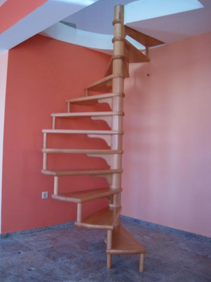 Вита стълба парен бук