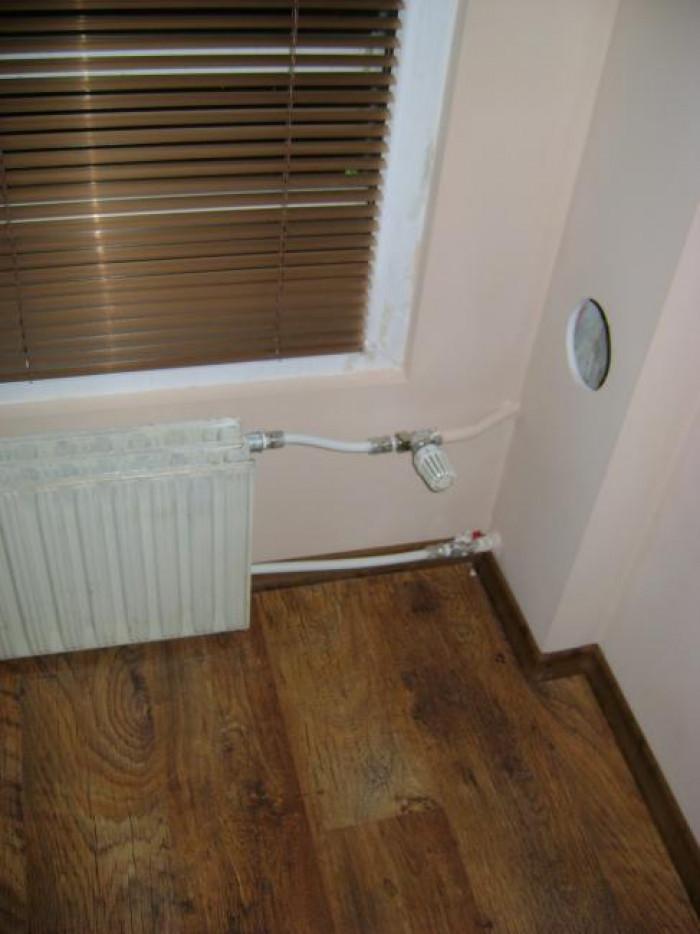 Снимка  от Петър Петров