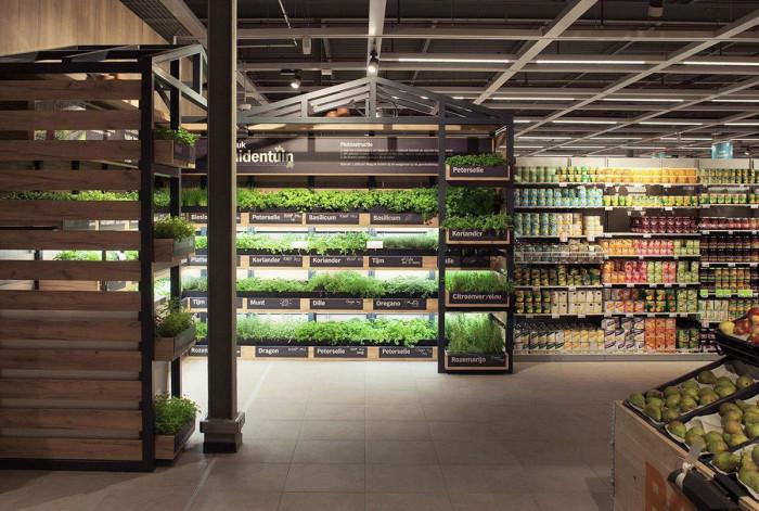Билкови градини в супермаркета: по-малко отпадъци, по-добър вкус