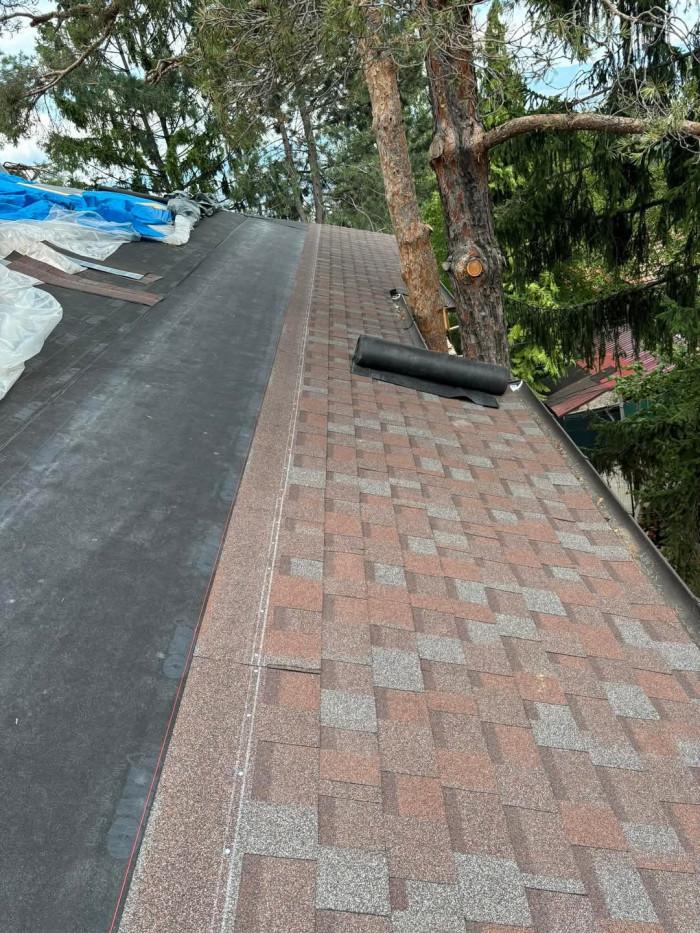 FB_IMG_1743719733562