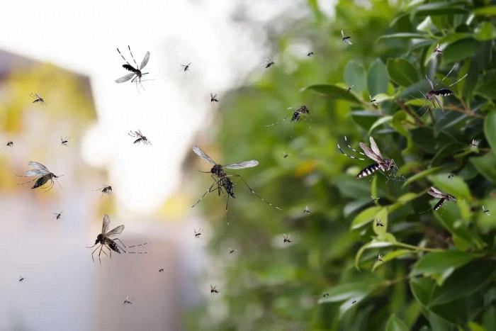 Ежедневни решения, които работят винаги