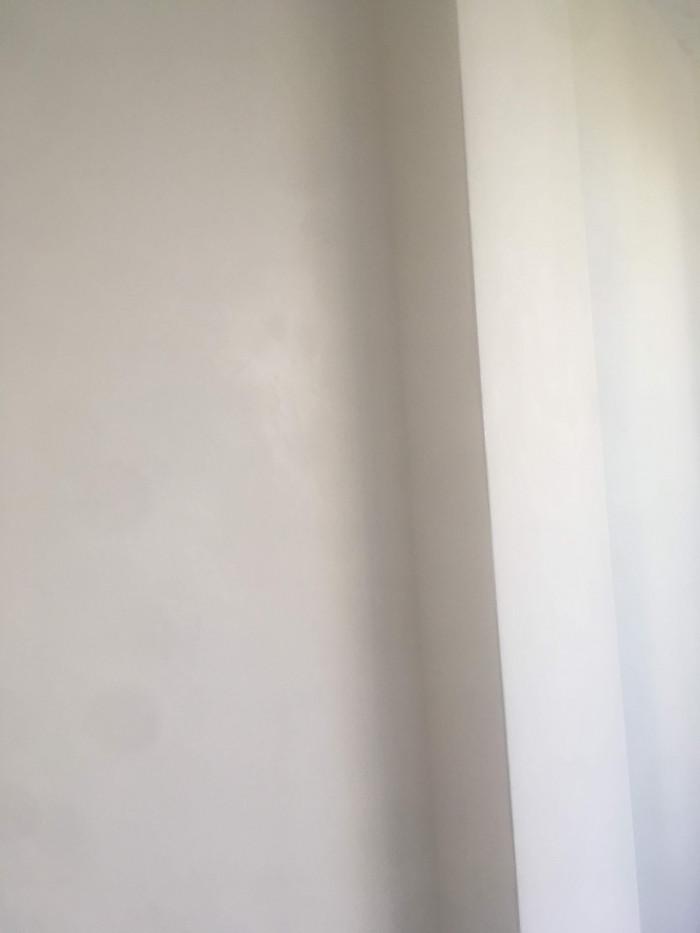 inbound5355242417888767761