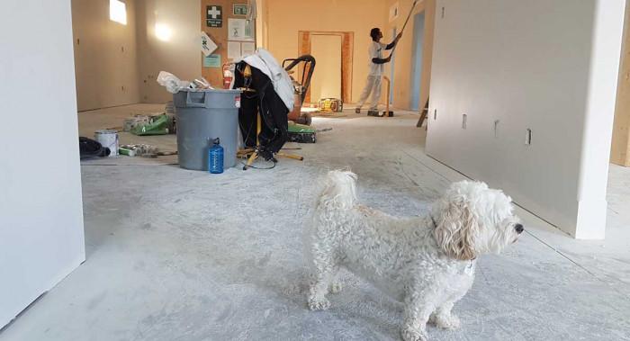 Ремонт в жилище под наем – какво можеш и какво не