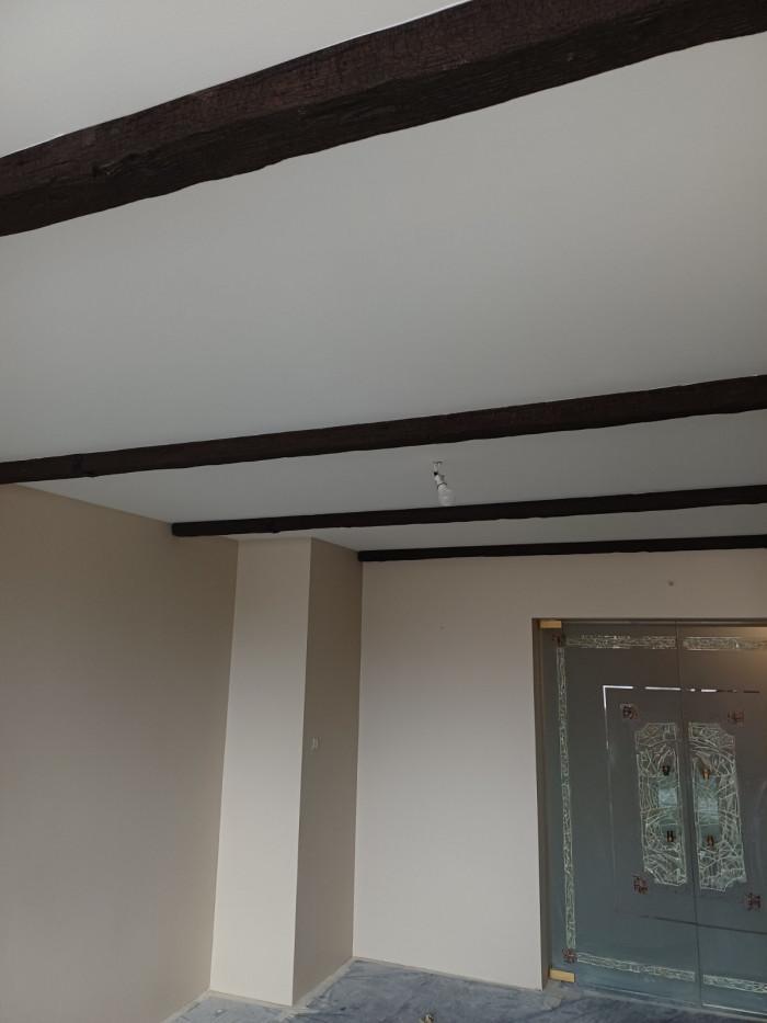 Боядисване