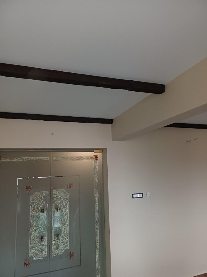 Боядисване