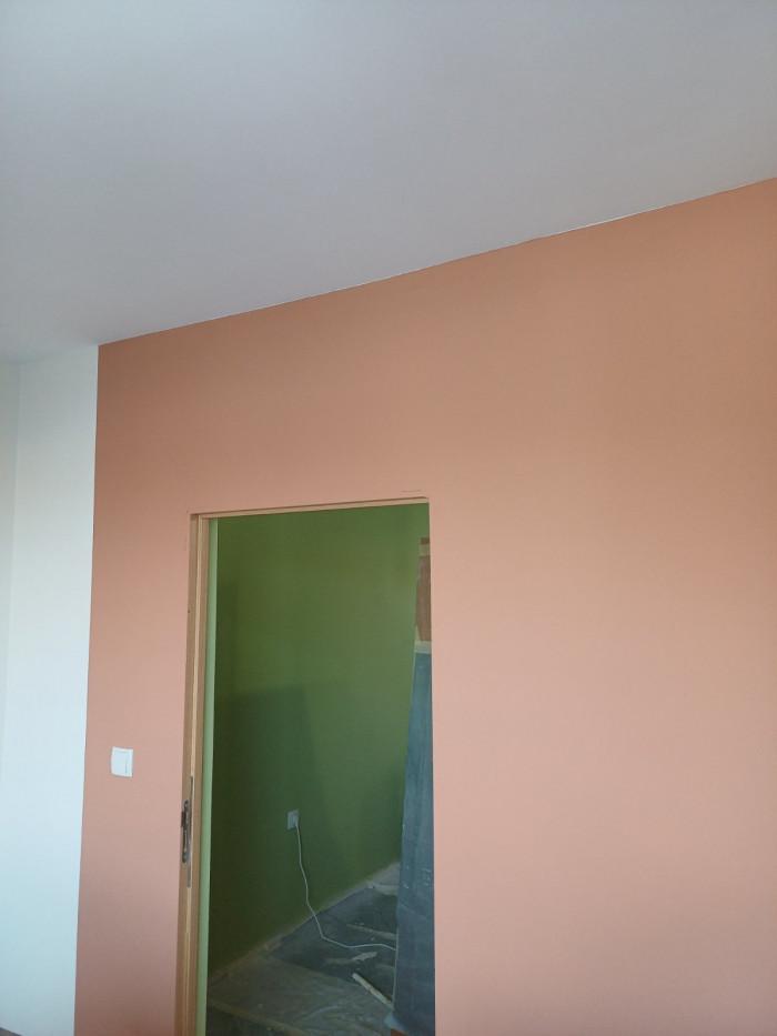 Боядисване