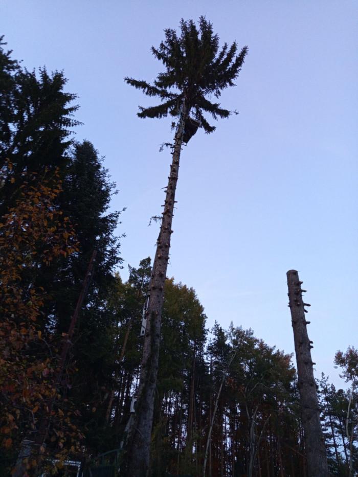 IMG-100695181e9fc9cdc65ac46b04c4e546-V