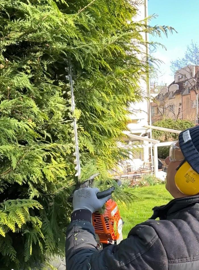 Подрязване на долната част на дървото