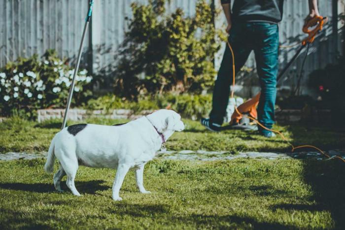 Терасата, дворът и всичко под открито небе