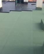 label.cover - Колю Жеков