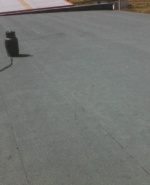 Снимка  от Traiko Iliev