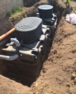 Снимка  от Александър Димитров