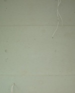 Снимка  от Кико Колев