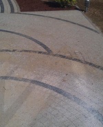 Снимка  от ФИДОС ЛАЗАРКОВ