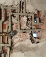 Снимка  от Цветомир Йотов