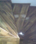 Снимка  от георги георгиев