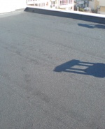 Снимка  от Георги Ефремов