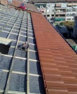 Снимка  от Янко Янков