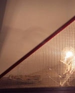 Снимка  от Евелина Тодорова