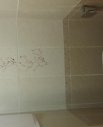 Малката тоалетна и дамски душ