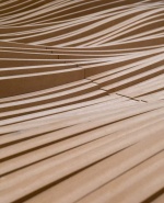 label.cover - Косьо Иванов