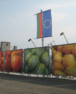 label.cover - Милена Радева