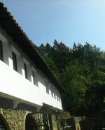 Профилна снимка - Николай Динов