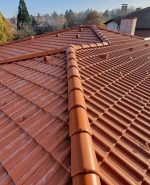 label.cover - Румен Димитров