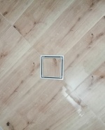 inbound8453418006127578434