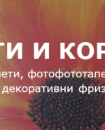 label.cover - Красимир Пеев