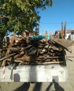 FB_IMG_1668154659439