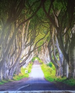 label.cover - Костадин Ралчев