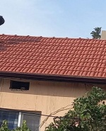 Профилна снимка - Ники Драшански