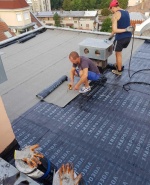 Профилна снимка - Димитър Томов