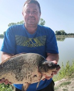 Профилна снимка - Дечко Гинев