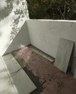 IMG_20241104_112334_1