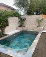 label.cover - Илия Михайлов