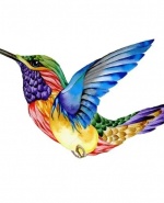 label.cover - Димитър Пенчев