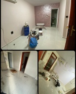 Collage_2025-11-25_22_59_32